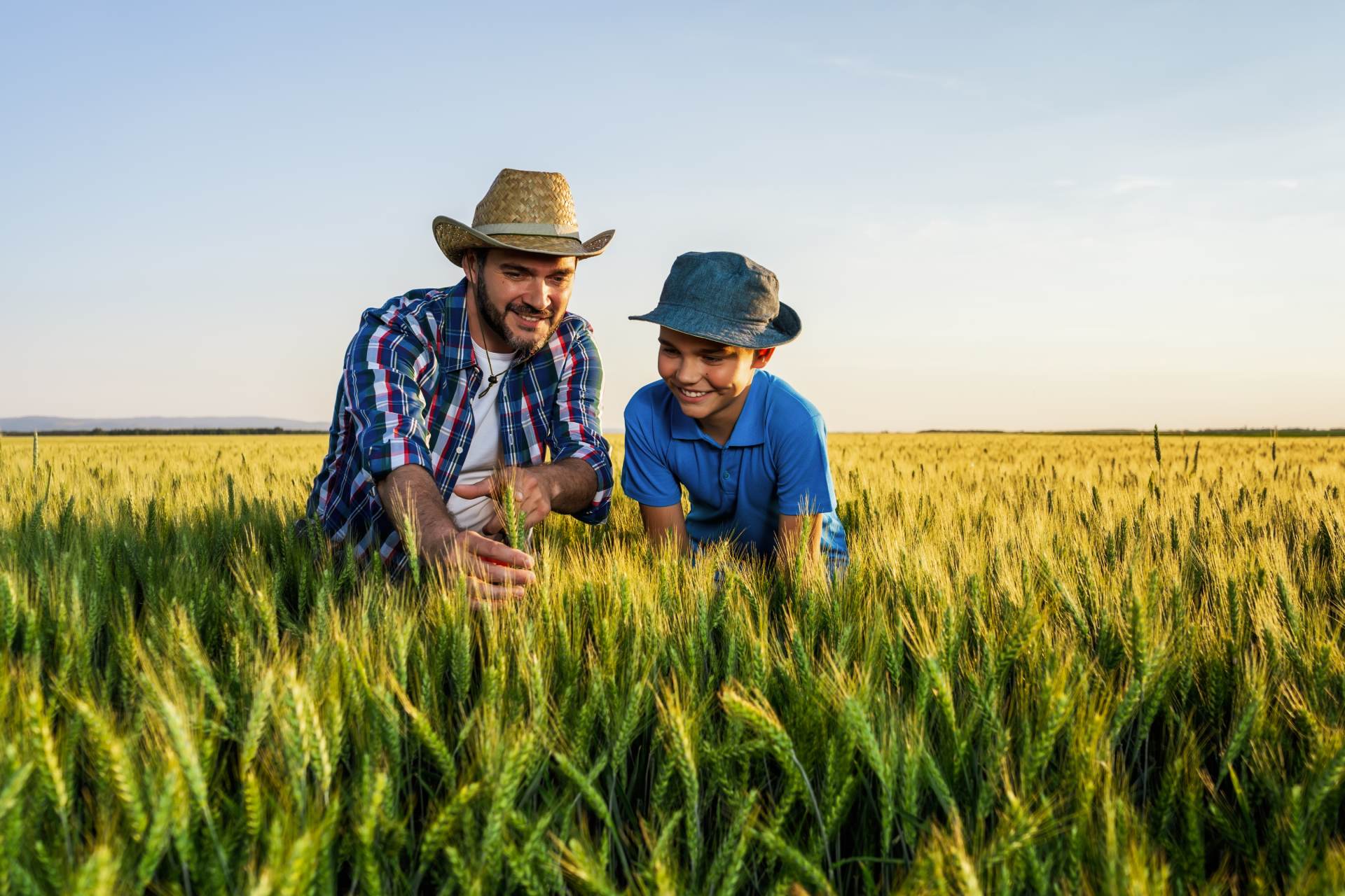 consorcio-como-potencializador-agronegocio